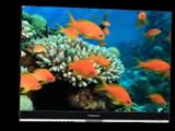 Panasonic VIERA TC-L37E5 37-Inch 1080p Full HD IPS LED TV Review | Panasonic VIERA TC-L37E5 37-Inch Sale