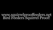 Squirrel Proof Feeders Guaranteed To Defeat Those Determined Bird Seed Raiders!