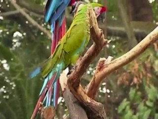 Telepopmusik - Don't look back