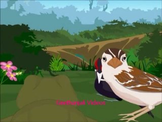 Tales Of Panchatantra - Sparrow And Elephant