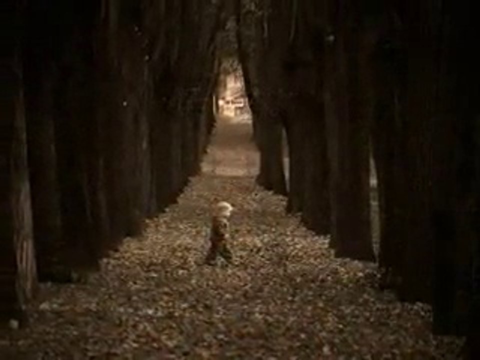 "Hope's Theme" (Tribute for my Son) Patrick Stafford Piano Theme for "World Child Safety Association"