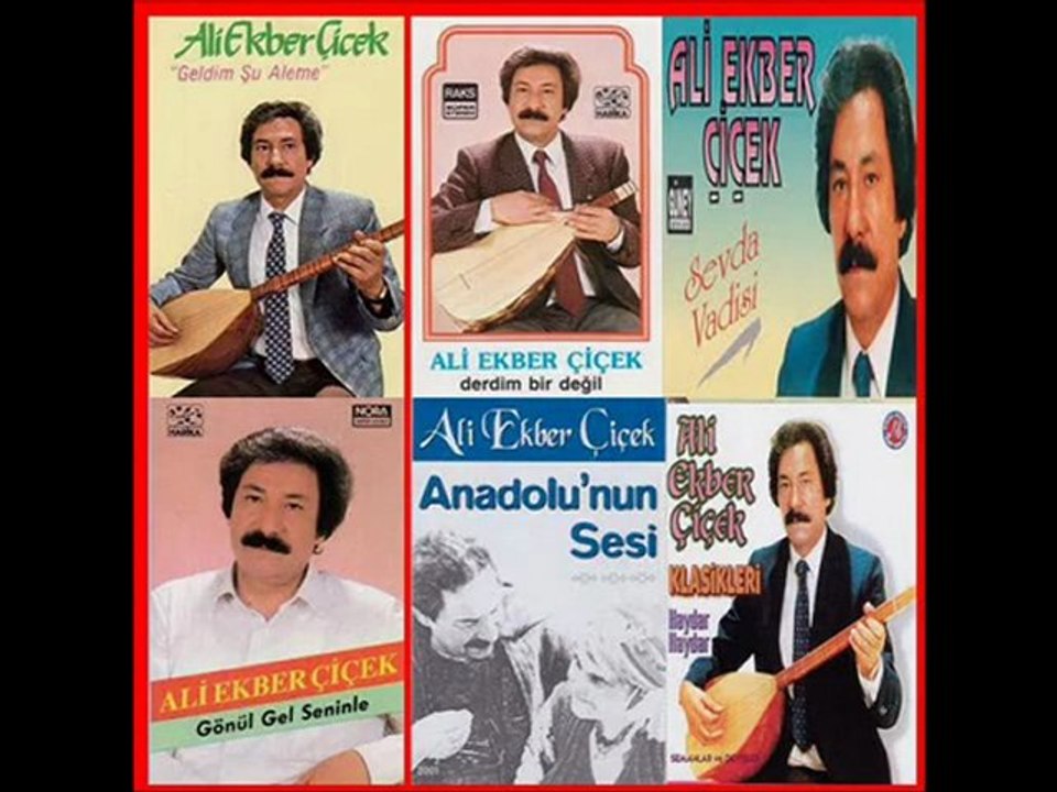 Ali Ekber ÇİÇEK  "BU GÜN BEN BİR GÜZEL GÖRDÜM"