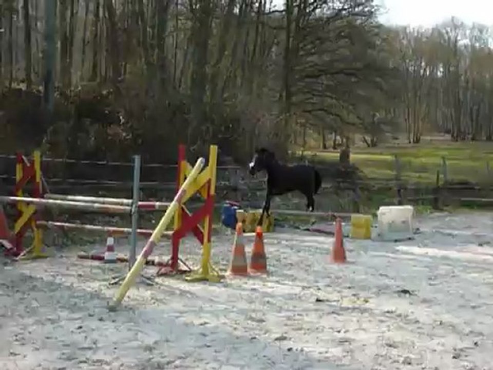 APYWIN DES GENETS