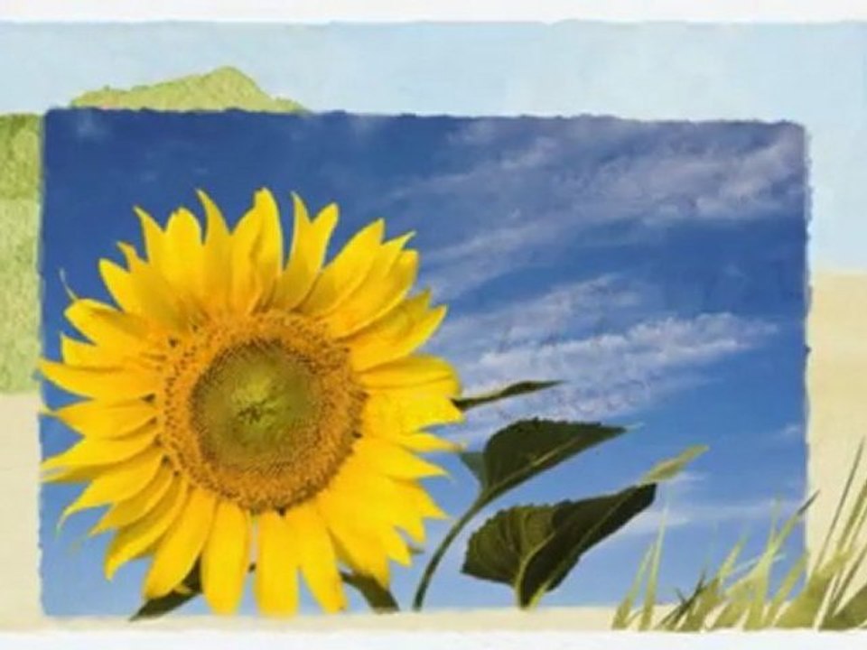 baltimore landscaping company - landscaping services baltimore