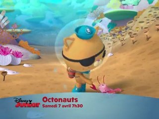 Disney Junior - Octonauts - Samedi 7 Avril à 7H30