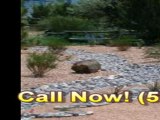 ProduceAlbuquerque Landscapers | (505)221-8052 | Whelchel Landscaping & Construction | Hardscaping | Xeriscaping