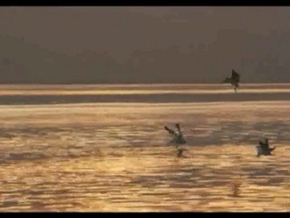 THE NATURE OF THE MUSIC - The Music of the Night