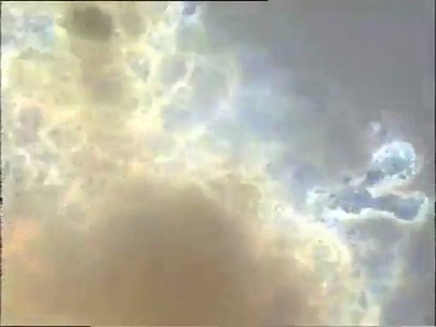 Examen de biomasses d'une boue âgée au microscope : détail de la microfaune