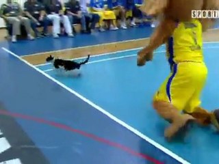 Η μασκότ της Μακάμπι κυνηγάει γάτα μέσα στο γήπεδο