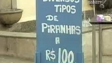 João Kleber - Piranha