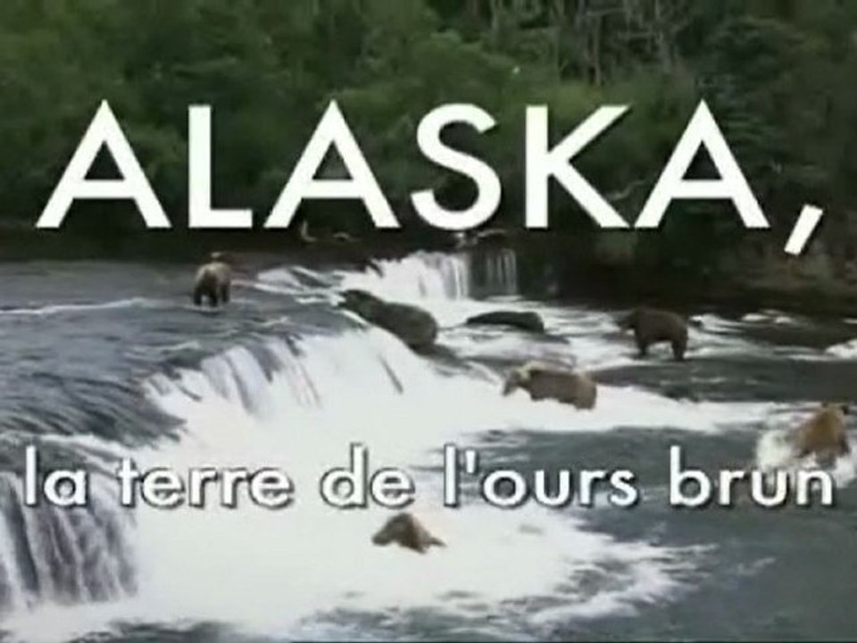 Alaska, Terre de l'ours brun
