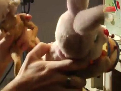 T'as rien de mieux à faire ? Avec Arnaud Maillard