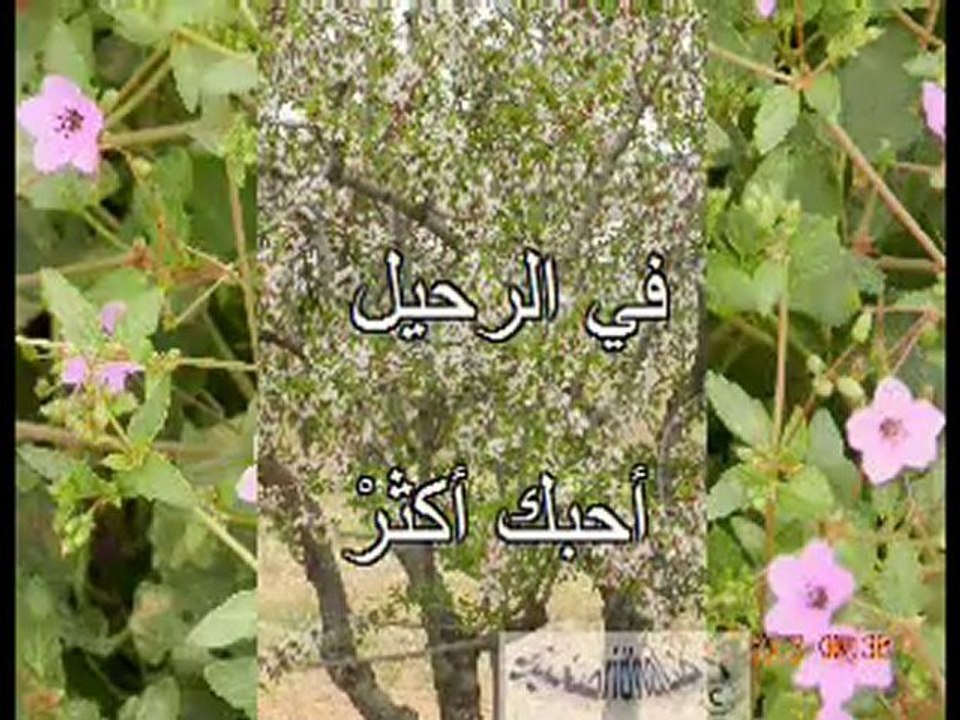skhira, darwich في الرحيل الكبير محمود درويش