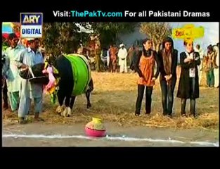 Desi Kuriyan Season 3 By Ary Digital [Episode 14] -Part 3/3