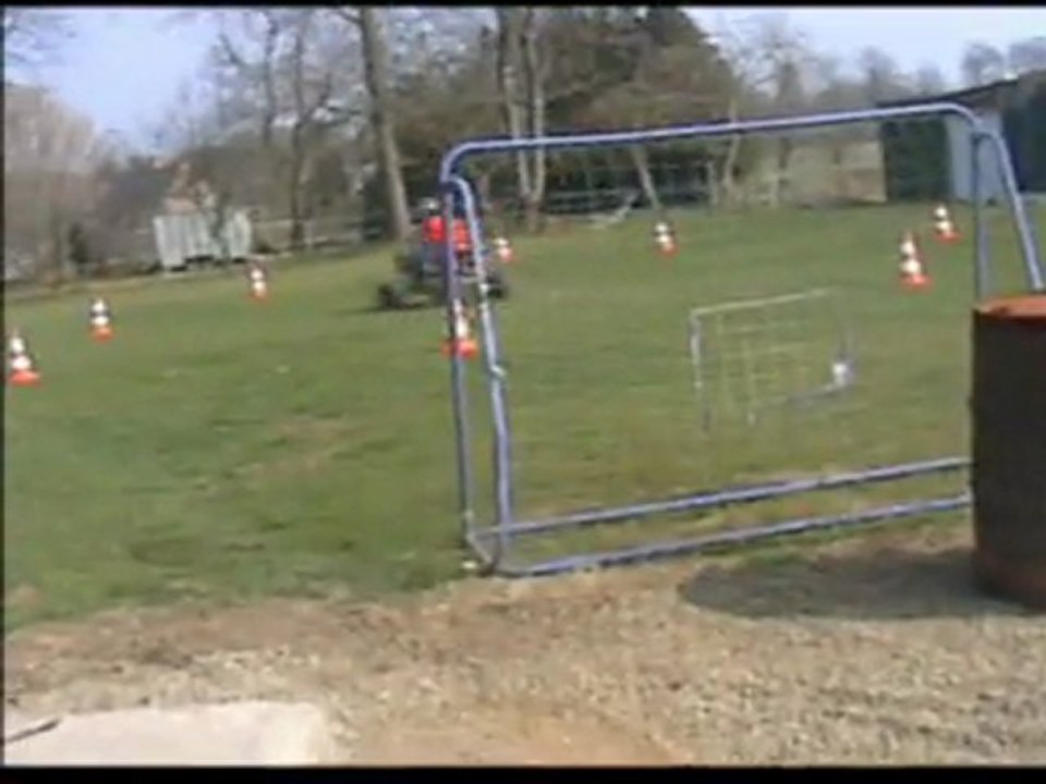 max speedbird 110