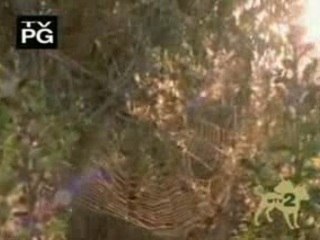 Death Cab For Cutie - Soul Meets Body