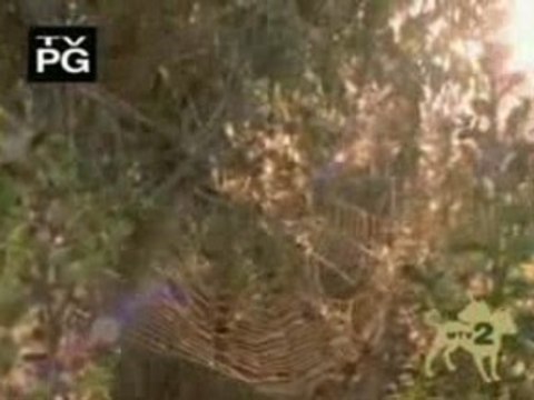 Death Cab For Cutie - Soul Meets Body