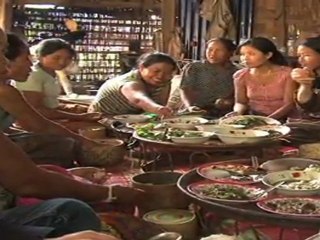 Des grillons contre la malnutrition au Laos