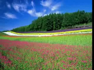 Ali Ercan  Duy baba 2