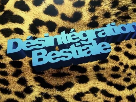 Teaser Désintégration Bestiale