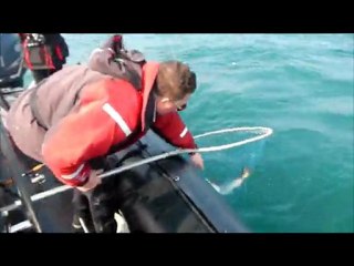 Too Aïe Fishing - La 1 ère 2012 du team Zeppelin