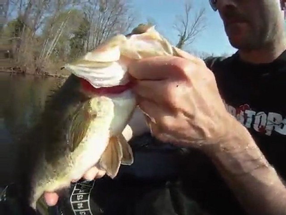 Last BASS