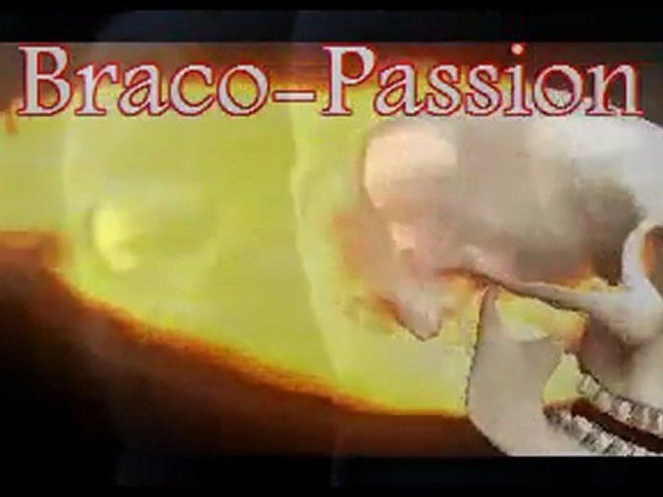 Présentation Information Braco Passion
