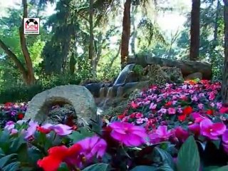 Azdavaylı Güldane ve Kemaneci Kemal - Yük Dibinde Yatarım