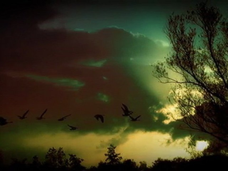 Idyll