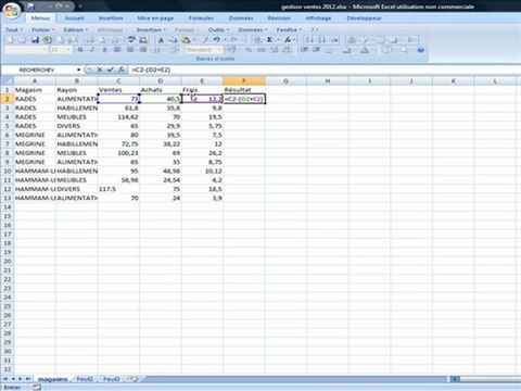 Saisie, enregistrement et calculs simples