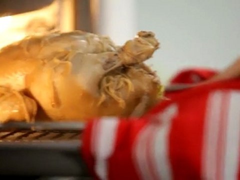 Steam Oven - Cooking in Style with Harvey Norman