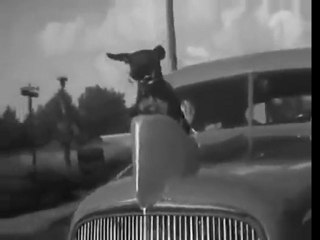 WTF Was Wrong With People In The 40's?