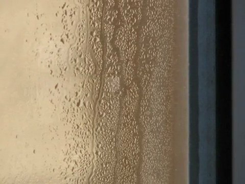 Phoenix Home Inspector Stan Fikel of Anchor Inspections Finds Double Pane Window Seal Broken