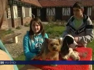 Anneville/Scie (76) : un bac professionnel hors du commun