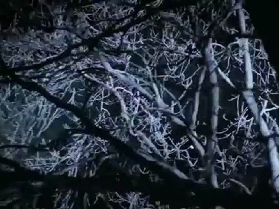 Lamborghini Aventador J, Lamborghini Aventador Dallas Texas