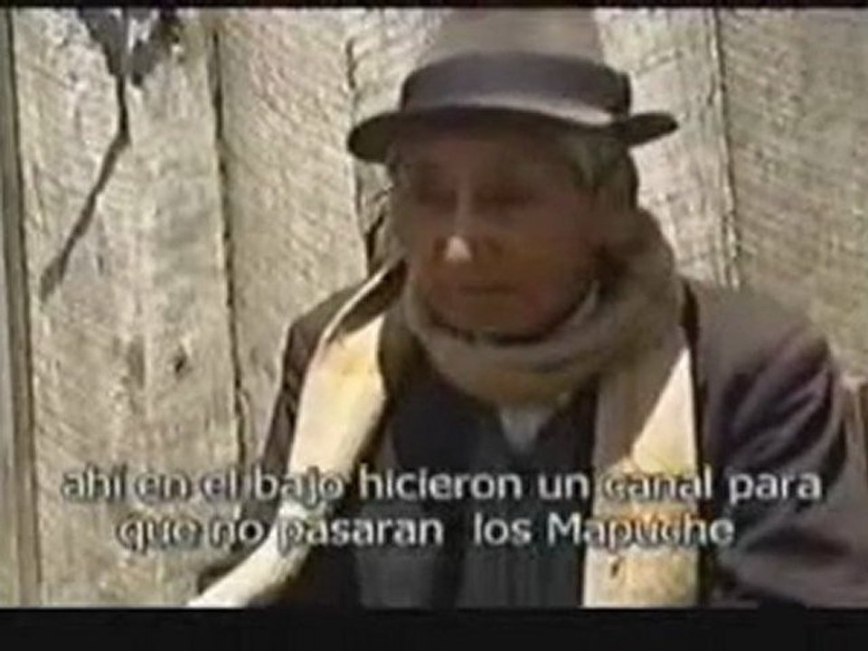 nación mapuche