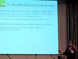 Le Dépérissement de la Syrah : bilan du programme Interrégional