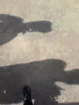 Belfort : démolition d'une tour quartier des Résidences