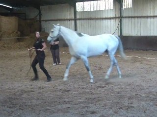 26.03.2012.a.sing.mener.distance