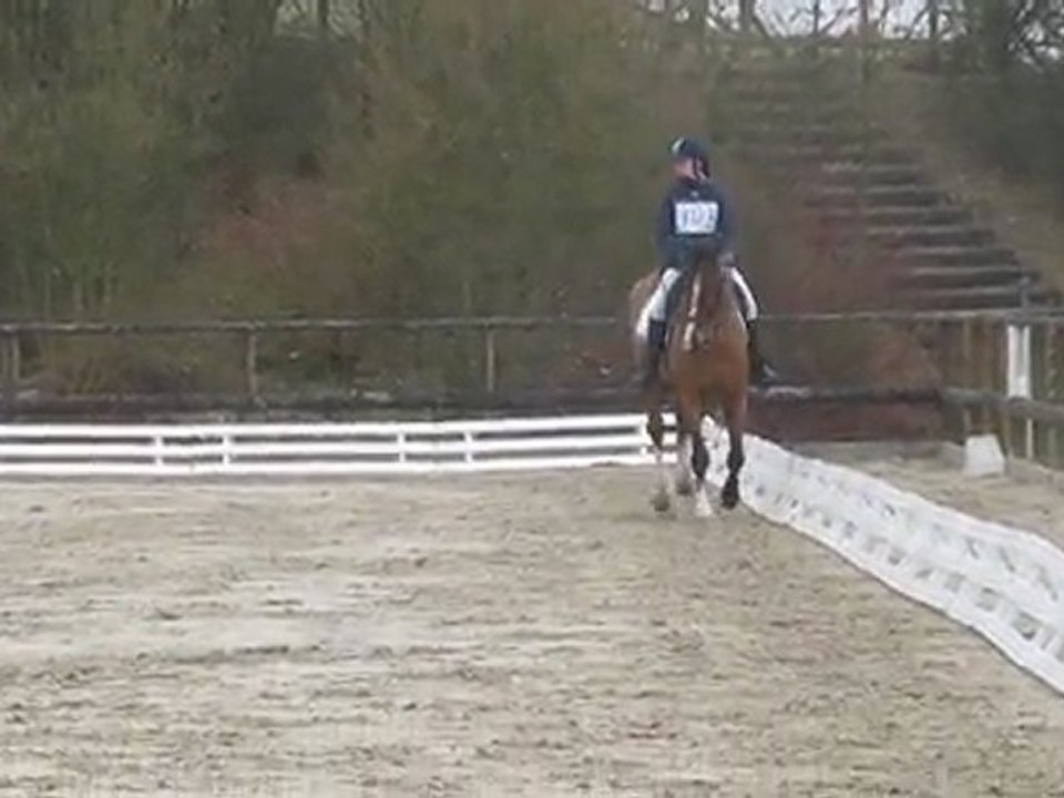 Dressage CCE Club Elite BOVES