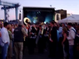 Trompettes du Mozambique