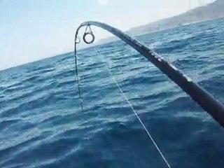 Verdel con mini-casting-jig