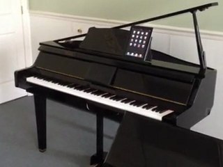 Long Island Piano Shoppe, Costa Piano Shoppe