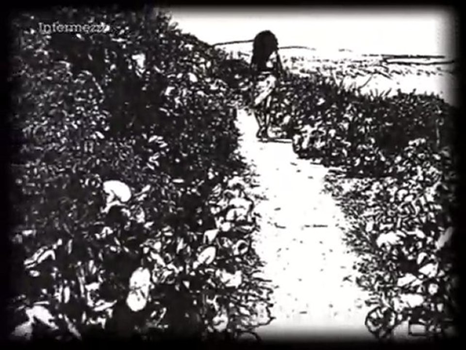 Mokhtar Samba - Dounia