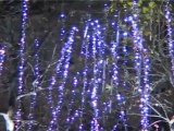 Illuminations de Noel sur les Champs Elyses  Vanessa Paradis  Blachre Illumination