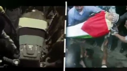 Roadmap to Apartheid: Lessons from History ✊