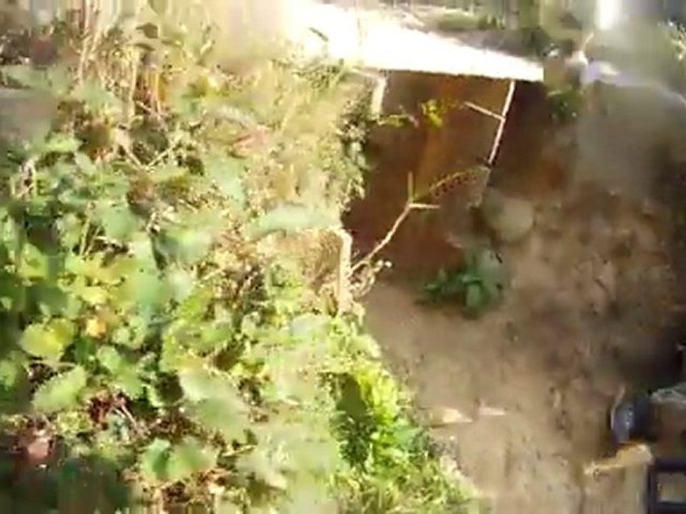 Une journée chez fdp paintball 77