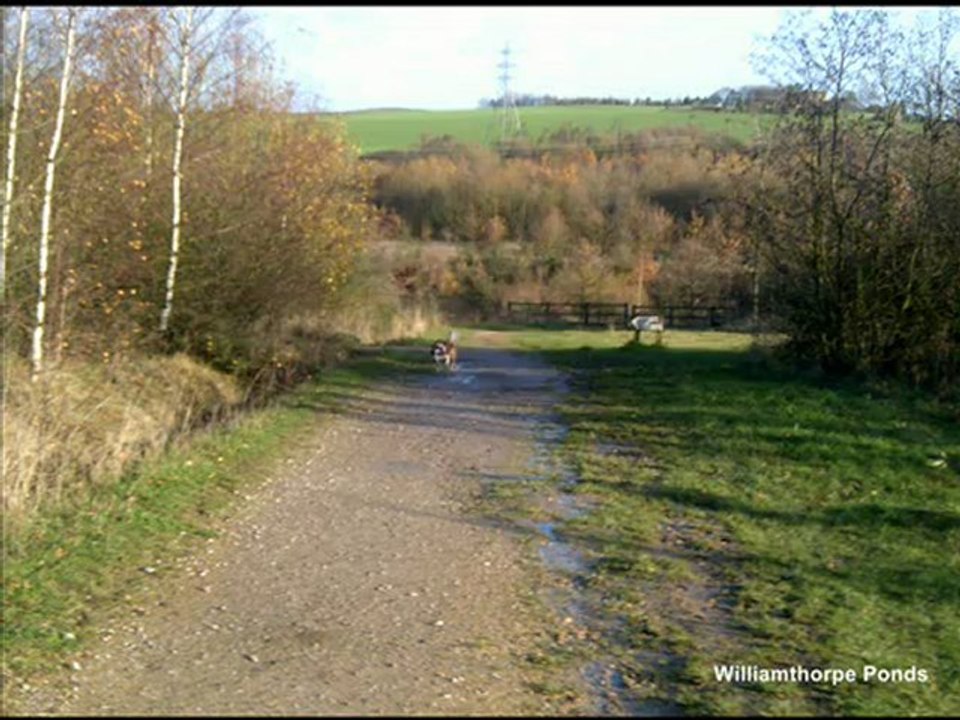 Phoenix Greenways - Quick historical journey along the Five Pits Trail - Fourth stop, Williamthorpe