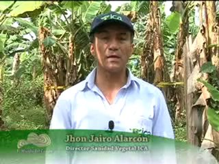 ICA MOCO DE EL PLATANO Abril 4 de 2012