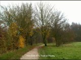 Phoenix Greenways - Quick historical journey along the Five Pits Trail - Second stop, Pilsley